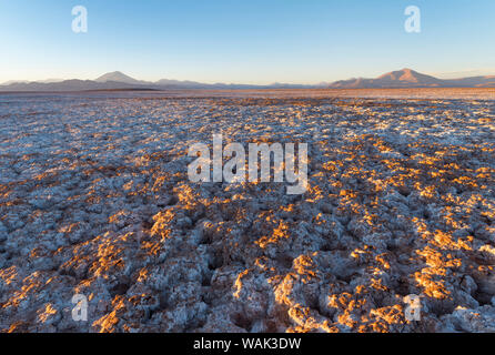 Coucher de soleil sur le Salar de Arizaro, l'un des plus grands appartements du sel dans le monde. L'Altiplano, près du village de Tolar Grande, près de la frontière du Chili. L'Amérique du Sud, Argentine Banque D'Images