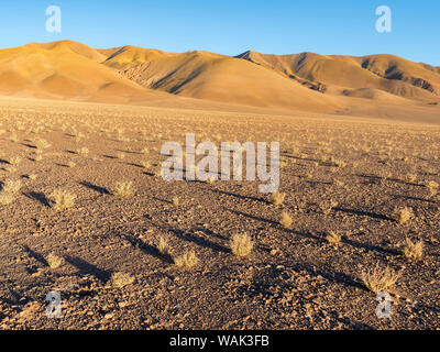 Les montagnes de l'Altiplano, près du village de Tolar Grande, près de la frontière du Chili. L'Amérique du Sud, Argentine Banque D'Images