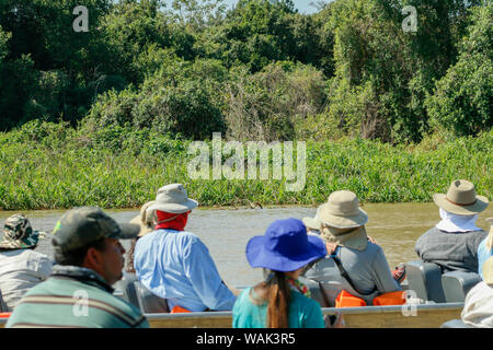 Pantanal, Mato Grosso, Brésil. Les touristes dans de petits bateaux en attente d'une Jaguar de faire un mouvement de sa place sur la berge. Cuiaba (Usage éditorial uniquement) Banque D'Images