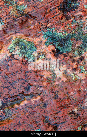 Grande roche polie, naturellement avec le lichen. Abaisser Deschutes River, le Centre de l'Oregon, USA Banque D'Images