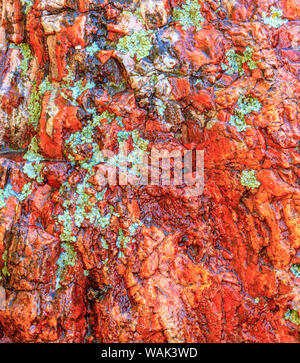 Grande roche polie, naturellement avec le lichen. Abaisser Deschutes River, le Centre de l'Oregon, USA Banque D'Images