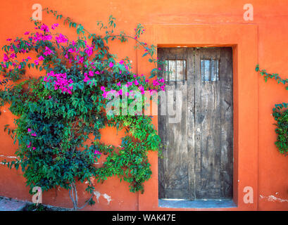 Le Mexique, San Miguel de Allende. La porte de la Chambre et comme crédit : Jim Nilsen / Jaynes Gallery / DanitaDelimont.com Banque D'Images