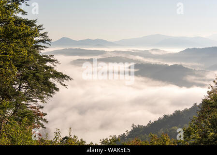 USA, Ohio, Great Smoky Mountains National Park. Nuages denses dans les vallées vu de Foothills Parkway. Sommet le plus haut est Thunderhead Mountain Banque D'Images