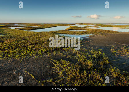 Appartements soudeur au lever du soleil, la baie de San Antonio, Texas Banque D'Images