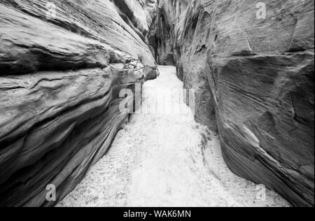 Slot Canyon Buckskin Gulch, en paria Canyon-Vermilion Cliffs Wilderness, Arizona, USA. Banque D'Images