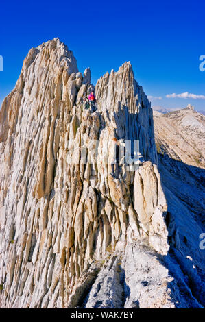 Alpinistes sur le classique de Matthes Crest, Yosemite National Park, California, USA. (MR) Banque D'Images