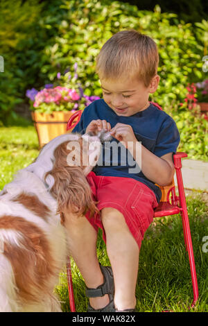 Issaquah, Washington State, USA. Trois ans vieux garçon assis dans une chaise longue tenue les plumes des oiseaux, les taquineries un Cavalier King Charles Spaniel. (Monsieur,PR) Banque D'Images