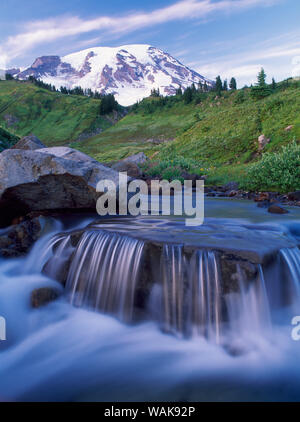 Edith Creek sur Paradise Trail près de Mt. Rainier National Park Lodge, Washington State, USA Banque D'Images