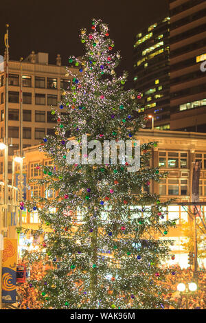 Centre Commercial Westlake Célébration de l'éclairage de l'arbre de Noël, Seattle, Washington State, USA Banque D'Images