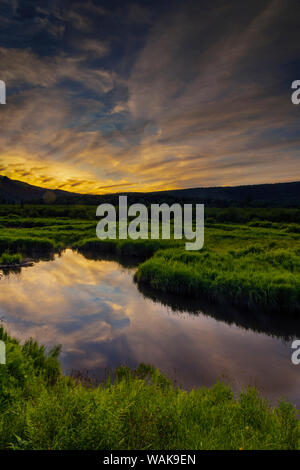 USA, West Virginia, Blackwater Falls State Park. Reflets dans l'étang. En tant que crédit : Jay O'Brien / Jaynes Gallery / DanitaDelimont.com Banque D'Images