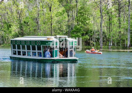 Excursion en bateau à fond de verre à Silver Springs State Park, Silver Springs, Floride, USA Banque D'Images