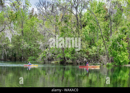 Les kayakistes sur la rivière d'argent, Silver Springs State Park, Silver Springs, Floride, USA Banque D'Images