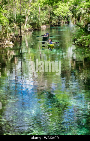 Kayak de la famille et de l'aviron sur la rivière d'argent, Silver Springs State Park, Silver Springs, Floride, USA Banque D'Images