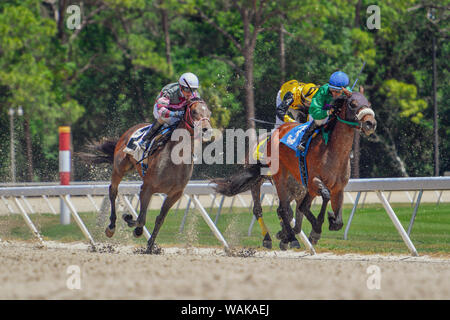 Jockeys sur chevaux de course avec la saleté volant près de la fin de la course Banque D'Images