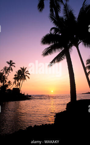 La silhouette du Palms et heiau au coucher du soleil, Pu'uhonua O Honaunau National Historic Park (Ville de Refuge), côte de Kona, Big Island, Hawaii, USA. Banque D'Images