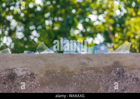 Clôture en béton avec la protection contre les voleurs de morceaux de verre cassé sur l'arrière-plan de bokeh Banque D'Images