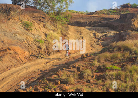 Kaehiakawaelo (Jardin des Dieux), un paysage martien de terre rouge, violet de lave et de formations rocheuses créées par de l'érosion. L'île de Lanai, Hawaii, USA (usage éditorial uniquement) Banque D'Images