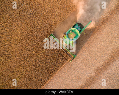 Moissonneuse-batteuse John Deere utilisé pour la récolte du soja. Marion Comté (Illinois). Banque D'Images