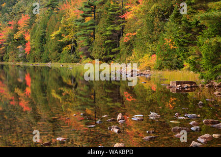 Aux Etats-Unis, dans le Maine. L'Acadia National Park, des réflexions à l'automne à l'étang de la bulle. Banque D'Images