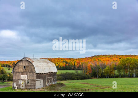 Weathered barn dans les pâturages d'automne près de Bruce Crossing dans dans la Péninsule Supérieure du Michigan, USA Banque D'Images