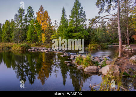 USA (Minnesota), Itasca State Park Banque D'Images