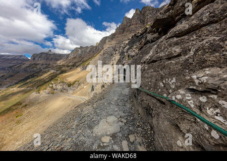 La section étroite de la Highline Trail au-dessus de la route de Sun dans le Glacier National Park, Montana, USA Banque D'Images