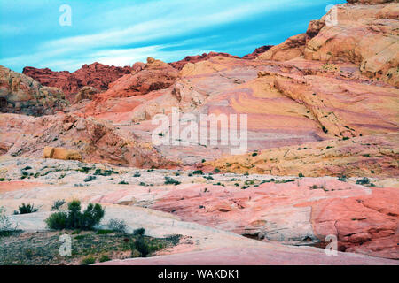 Buttes et les roches, coupoles blanches, Vallée de Feu Park, Nevada, USA Banque D'Images