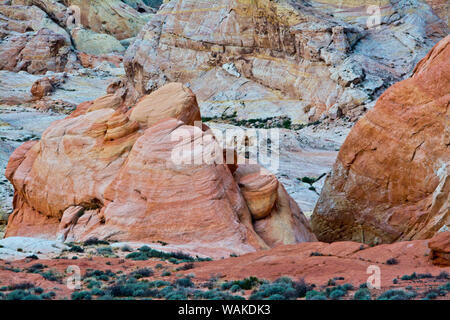 Buttes et les roches, coupoles blanches, Vallée de Feu Park, Nevada, USA Banque D'Images