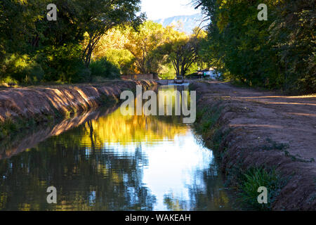 USA, Nouveau Mexique, Los Ranchos Automne Acequia, feuillage Cottonwood Banque D'Images