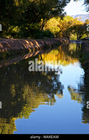 USA, Nouveau Mexique, Los Ranchos Automne Acequia, feuillage Cottonwood Banque D'Images