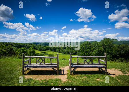 USA, New York, Hyde Park dans la zone de bancs. Banque D'Images