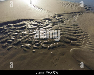 USA (Oregon), l'arctostaphyle. Réflexion sur le sable et l'eau. En tant que crédit : Wendy Kaveney Jaynes / Galerie / DanitaDelimont.com Banque D'Images