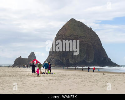 USA, Ohio, Cannon Beach. Haystack Rock et les gens sur la plage. En tant que crédit : Wendy Kaveney Jaynes / Galerie / DanitaDelimont.com Banque D'Images