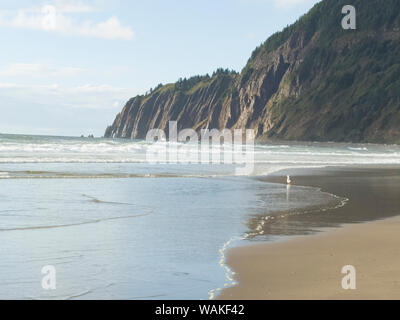 USA (Oregon), l'arctostaphyle. Paysage de plage. En tant que crédit : Wendy Kaveney Jaynes / Galerie / DanitaDelimont.com Banque D'Images