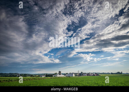 USA, New York, Strasbourg. farm Banque D'Images