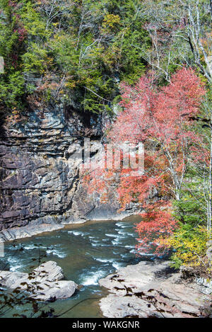 Etats Unis, New York. Fall Creek Falls State Park. Au-delà de la rivière Cane Creek Cascades. La couleur de l'automne lumineux Banque D'Images