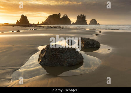 USA, l'État de Washington, l'Olympic National Park. Lever du soleil sur la plage et les rochers de la côte. En tant que crédit : Jim Nilsen / Jaynes Gallery / DanitaDelimont.com Banque D'Images