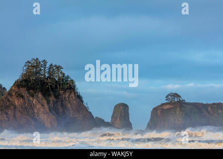 Les piles de la mer et des vagues à la première lumière sur le Rialto Beach in Olympic National Park, Washington State, USA Banque D'Images