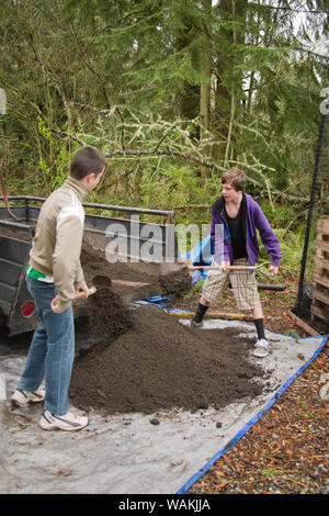 Issaquah, Washington State, USA. Adolescents de pelleter de la terre mélange de légumes pour jardin communautaire. (MR, communication) Banque D'Images