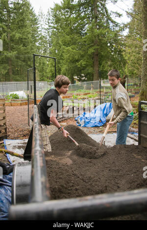 Issaquah, Washington State, USA. Adolescents de pelleter de la terre mélange de légumes pour jardin communautaire. (MR, communication) Banque D'Images