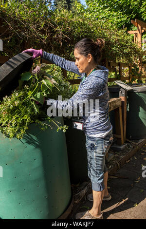 L'État de Washington, USA. Femme grand jardinier plantes ajouter à un composteur. (MR) Banque D'Images