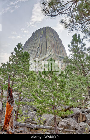 Vue depuis les environs de la Tour du Diable près de Sundance, Wyoming, USA. En tant que crédit : Fred Seigneur / Jaynes Gallery / DanitaDelimont.com Banque D'Images