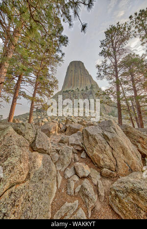 Vue depuis les environs de la Tour du Diable près de Sundance, Wyoming, USA. En tant que crédit : Fred Seigneur / Jaynes Gallery / DanitaDelimont.com Banque D'Images