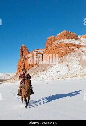 Cheval de cow-boy dur sur Hideout Ranch, Shell, Wyoming. Circonscription de cow-boy sur son cheval. (MR) Banque D'Images