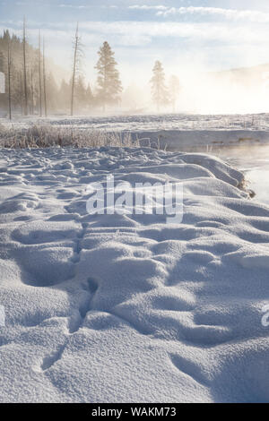 USA, Wyoming, Yellowstone National Park, le long de la rivière Madison. Une vue de la brume de la rivière Madison. Banque D'Images