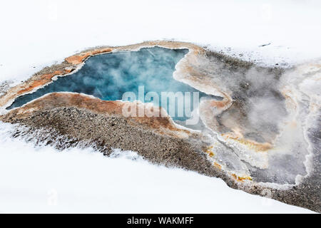 Usa, Wyoming, Yellowstone National Park. Upper Geyser Basin, le Blue Star du printemps. Banque D'Images