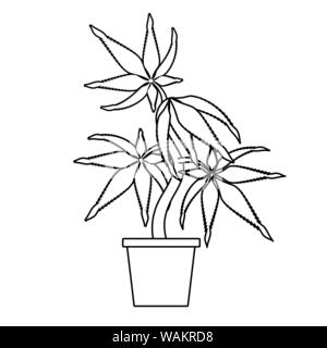 Martihuana chanvre cannabis sativa caricature en noir et blanc Illustration de Vecteur