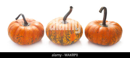 Trois citrouilles décoratives Isolated On White Banque D'Images