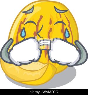 Pleurer avec le melon pepino caractères Illustration de Vecteur