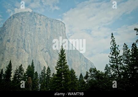 C'est une immense falaise/mountain dans le Parc National Yosemite. En raison de la temps de brouillard leur est étonnant contraste entre les arbres sur l'avant-plan un Banque D'Images